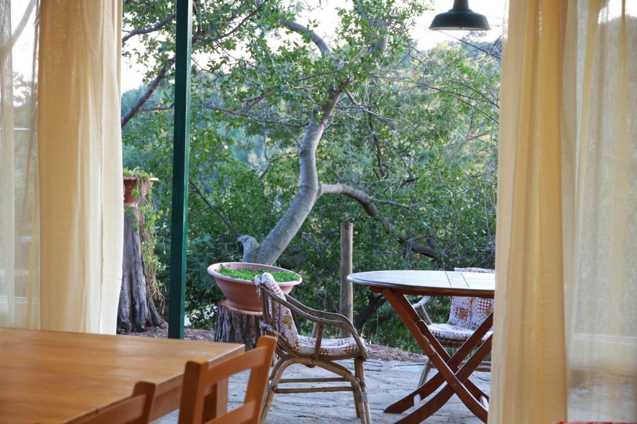 Villa Giulia Al Mare Кастільйоне-делла-Пеская Екстер'єр фото